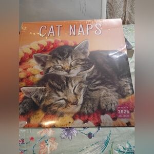 Cozy Cat Naps Calendar - 2026 Edition